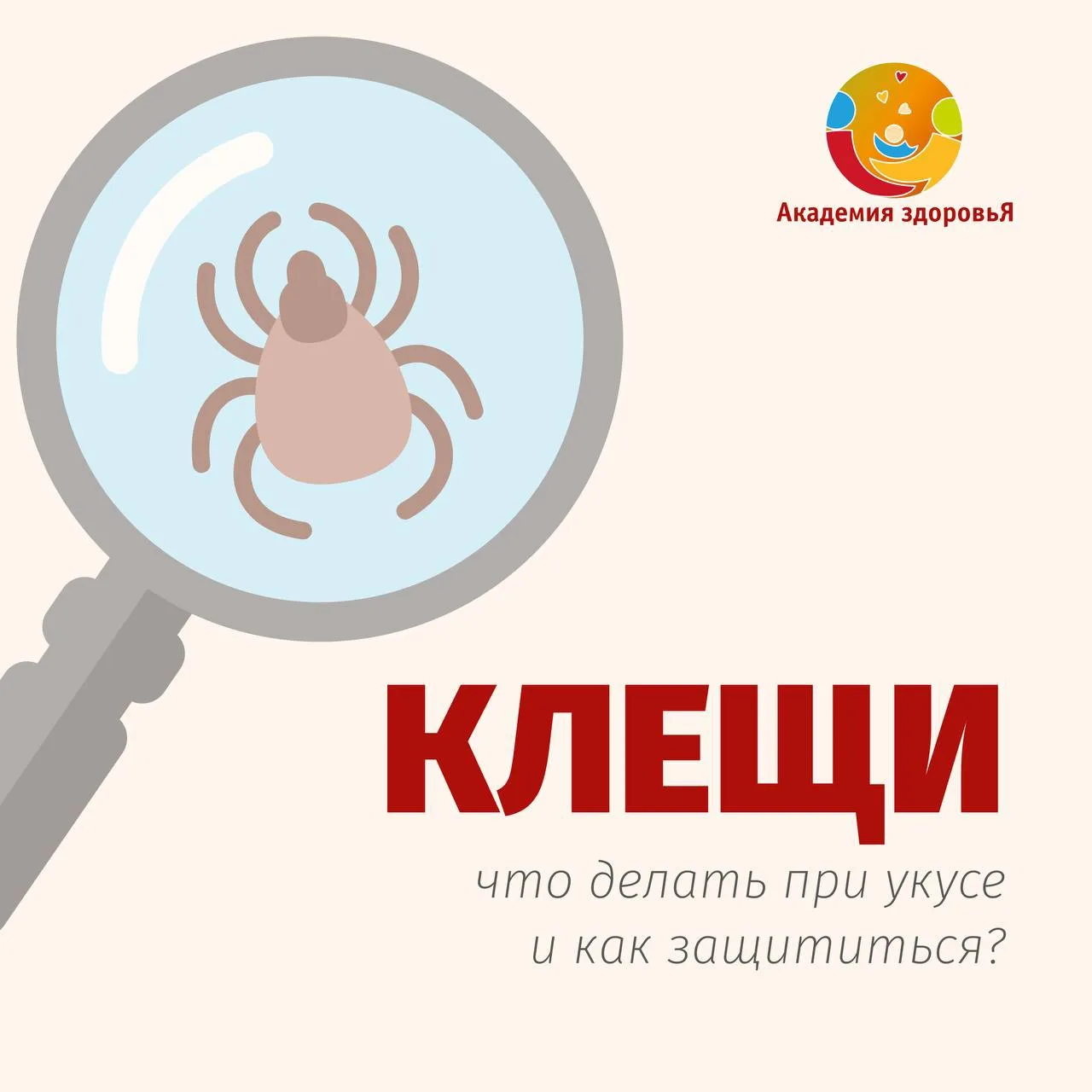 🕷 Как правильно удалить клеща? Инструкция, которую нужно знать каждому!