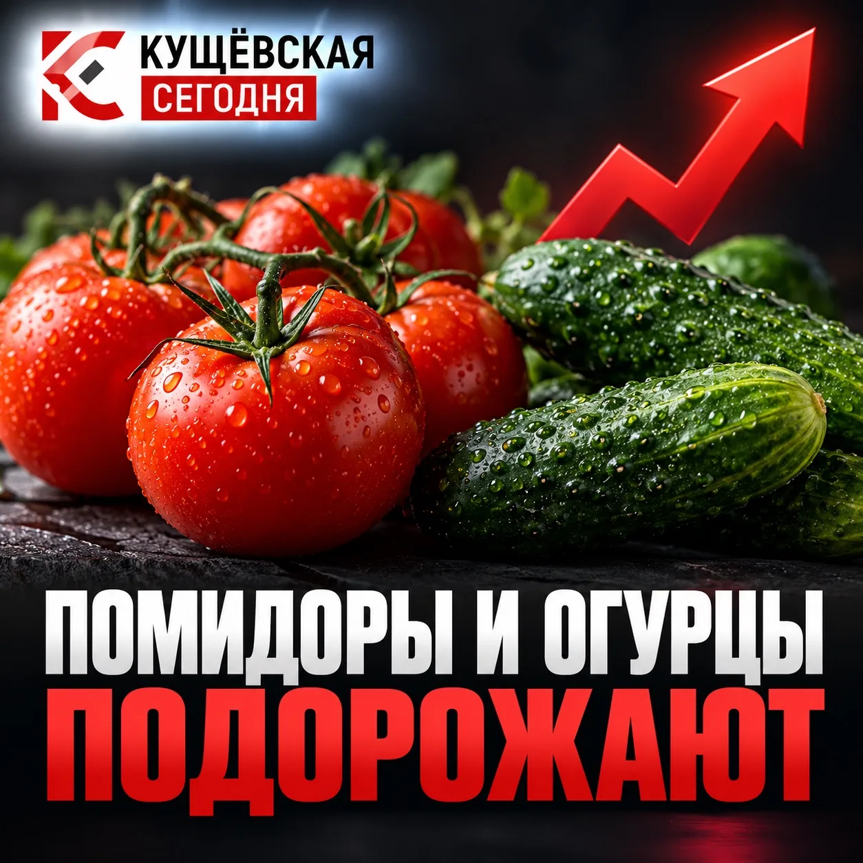 🍅 Помидоры и огурцы могут стать дороже — в России хотят поднять пошлины на овощи