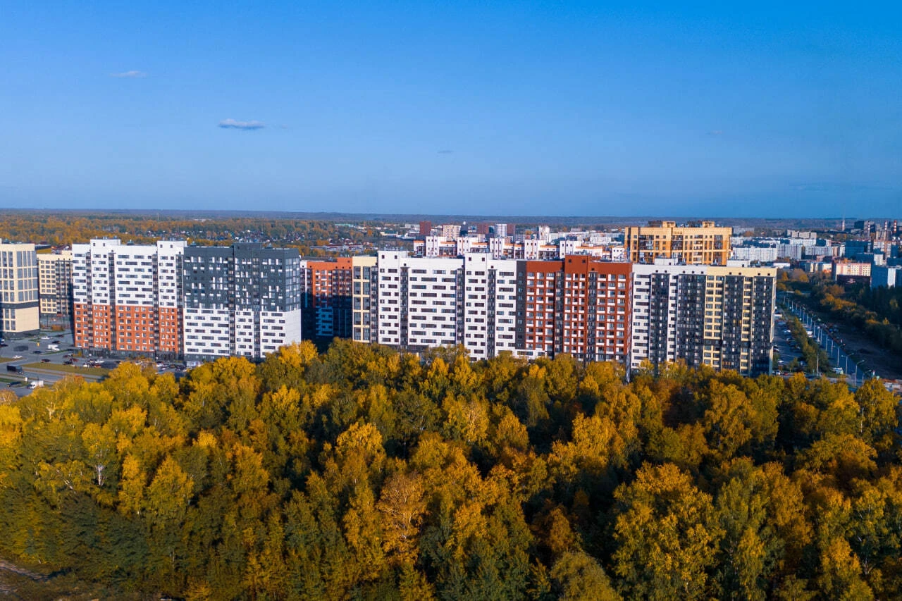 Как живут в душевном районе с березовой рощей?