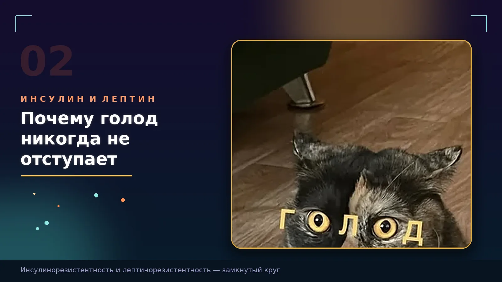 Почему при инсулинорезистентности голод никогда не отступает?