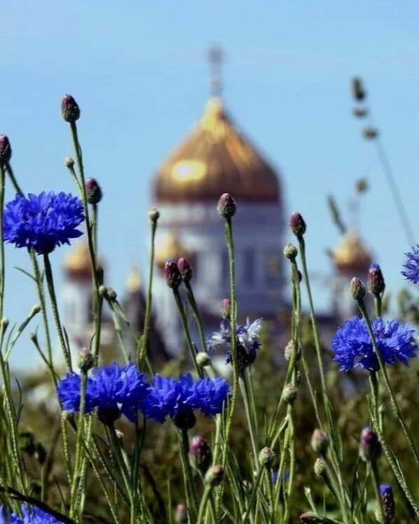 Тебя обидели? Замечательно:
тебе дали шанс простить.

Яви Богу тайно свое прощение, потому что, толь