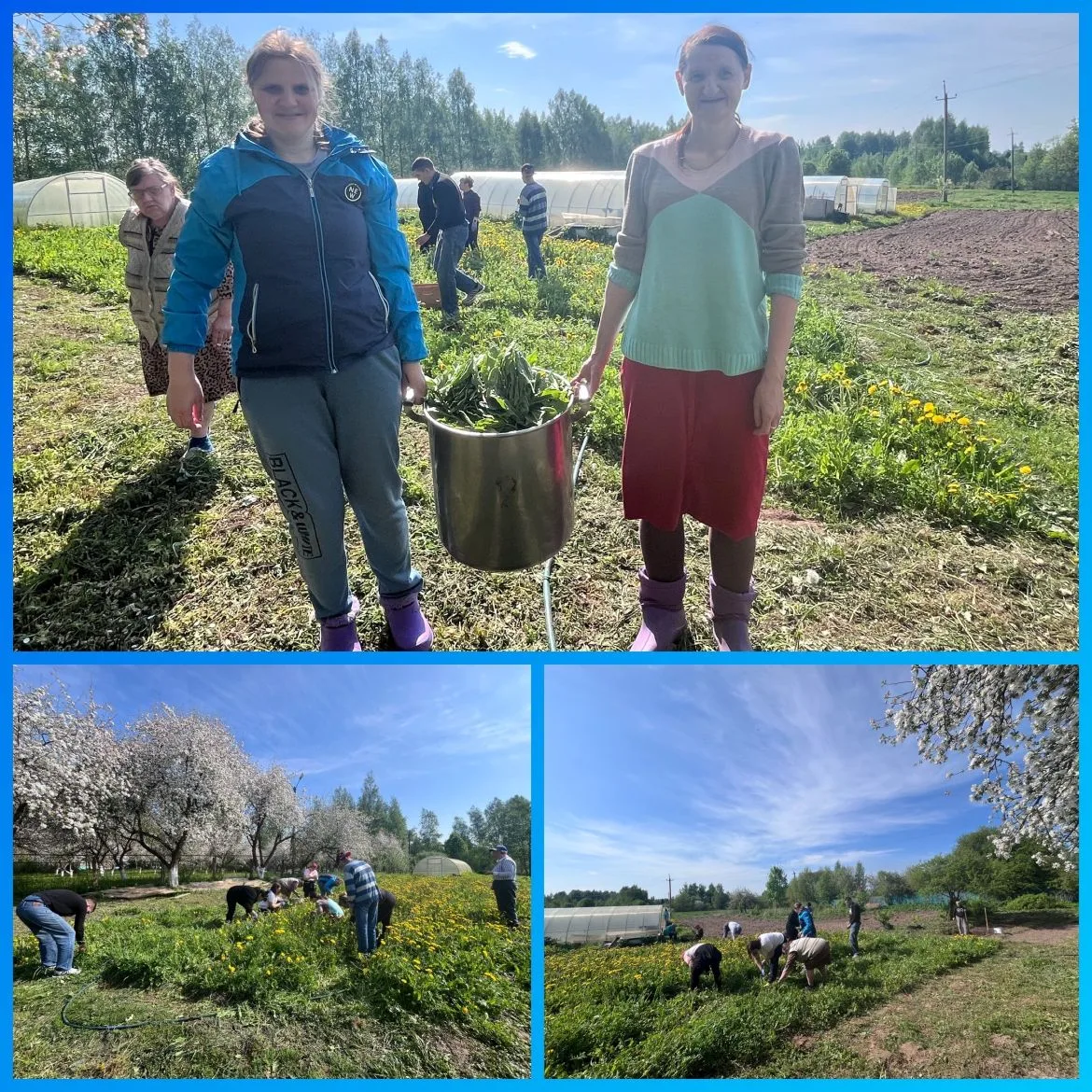 🌿Весенний сбор  ☀️🏡В один из весенних, солнечных дней сотрудники и подопечные Починковского психонев