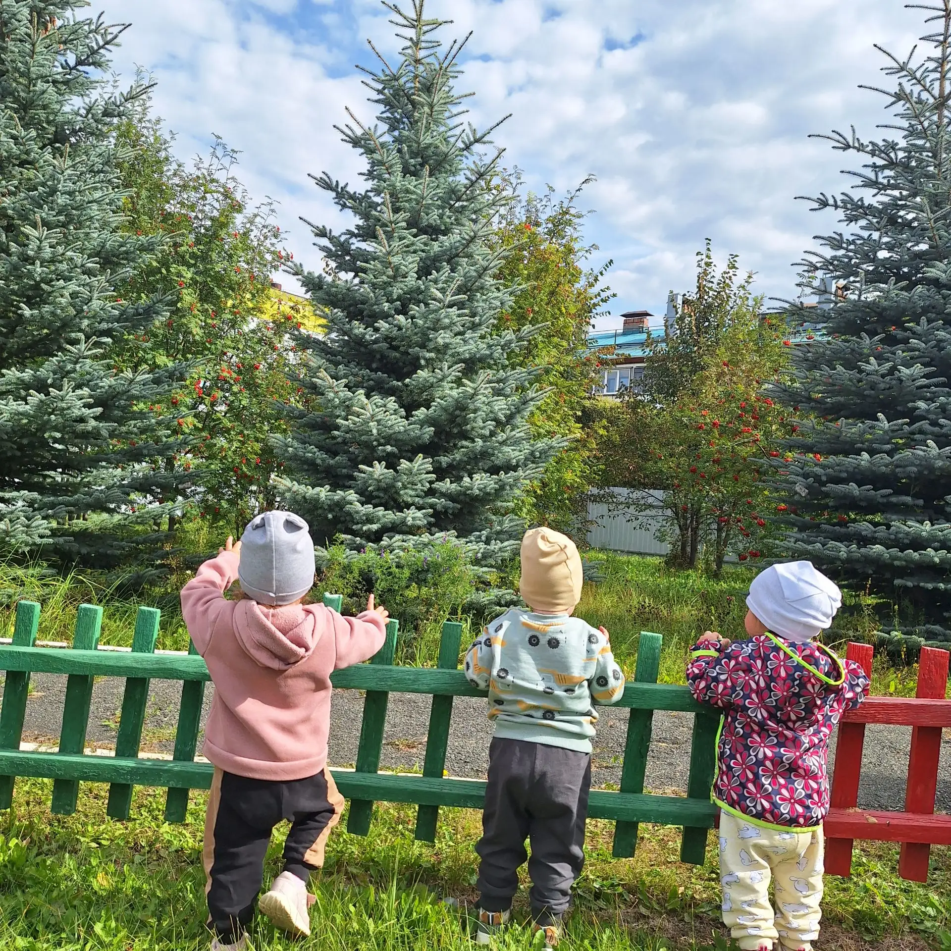 Осень — удивительное время, меняются цвета, появляются новые возможности для познания и...