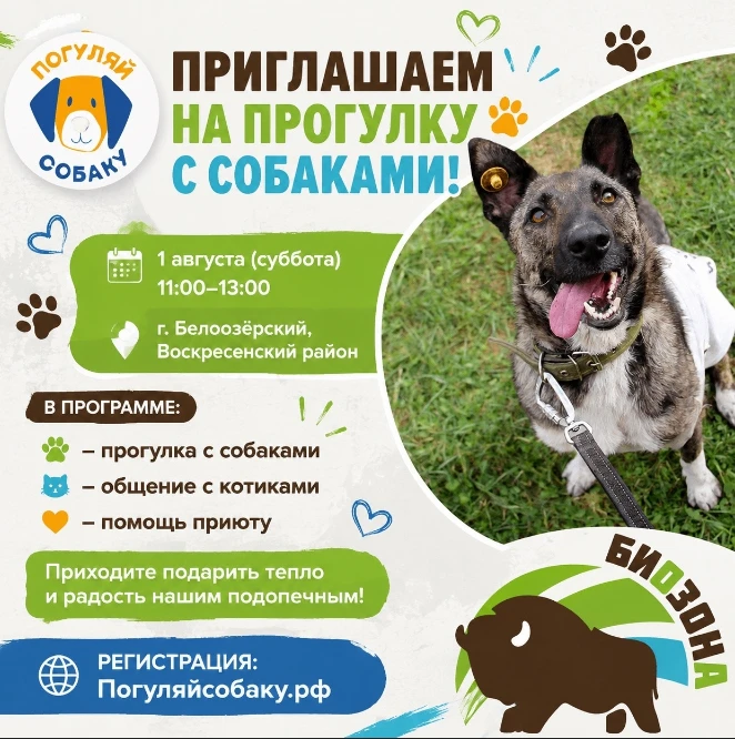 В эту субботу, 1 августа, в белоозерском приюте пройдёт День открытых дверей.
Приходите, чтобы погул