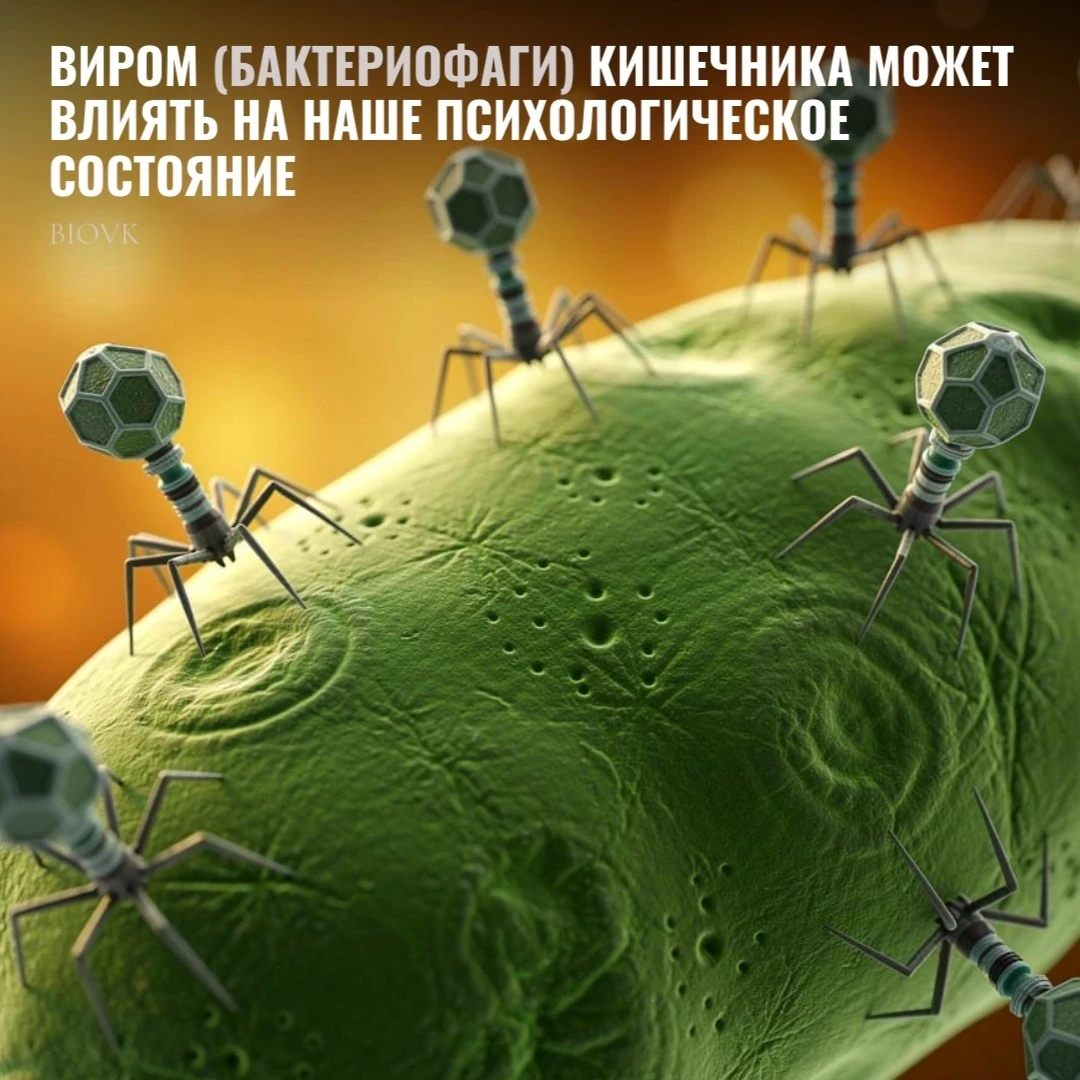 Если вы смутно подозревали, что причины ваших проблем со стрессом не ограничиваются ток...