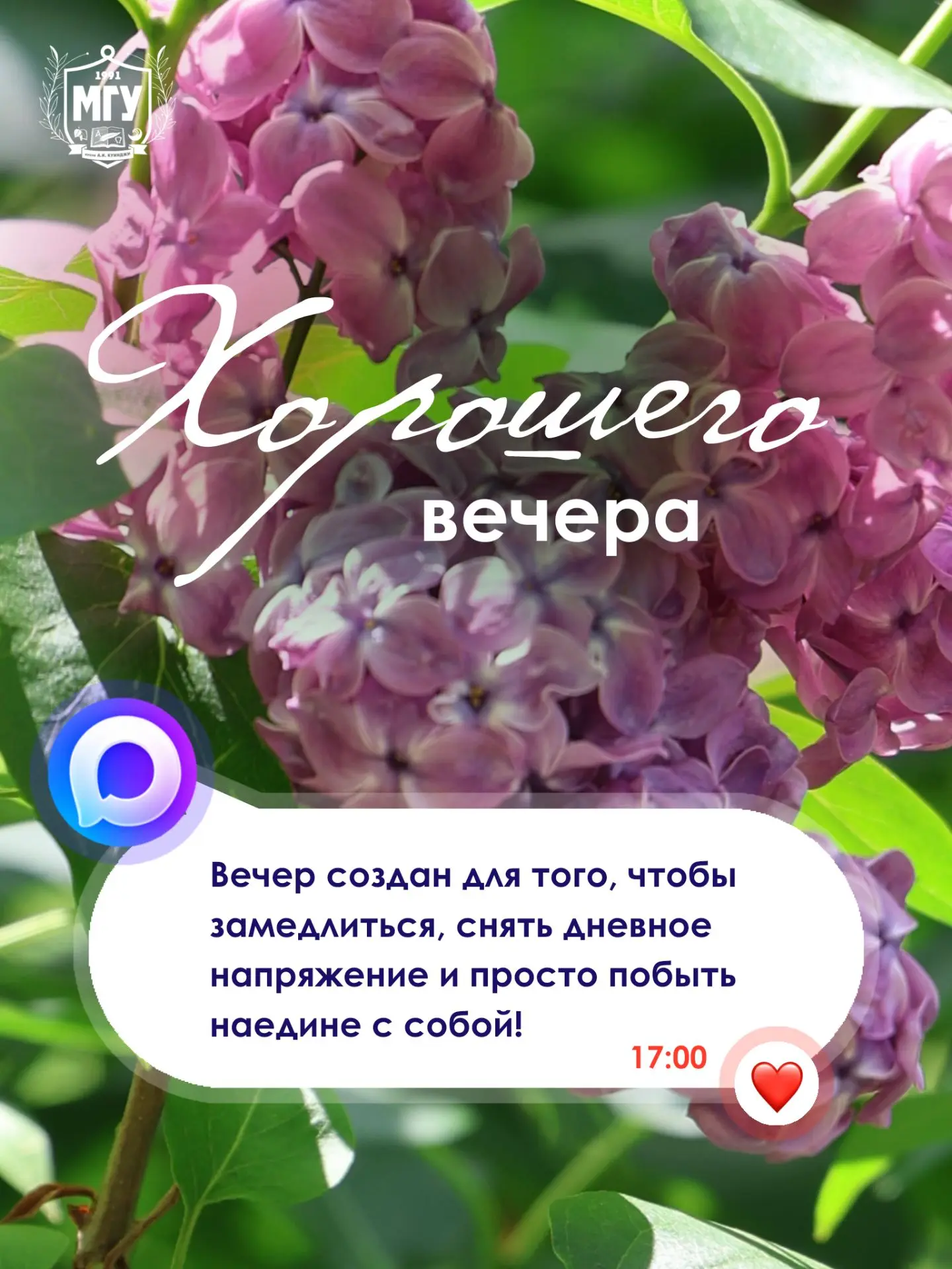 🌟 МГУ имени А.И. Куинджи желает хорошего и спокойного вечера!

#МГУимениКуинджи