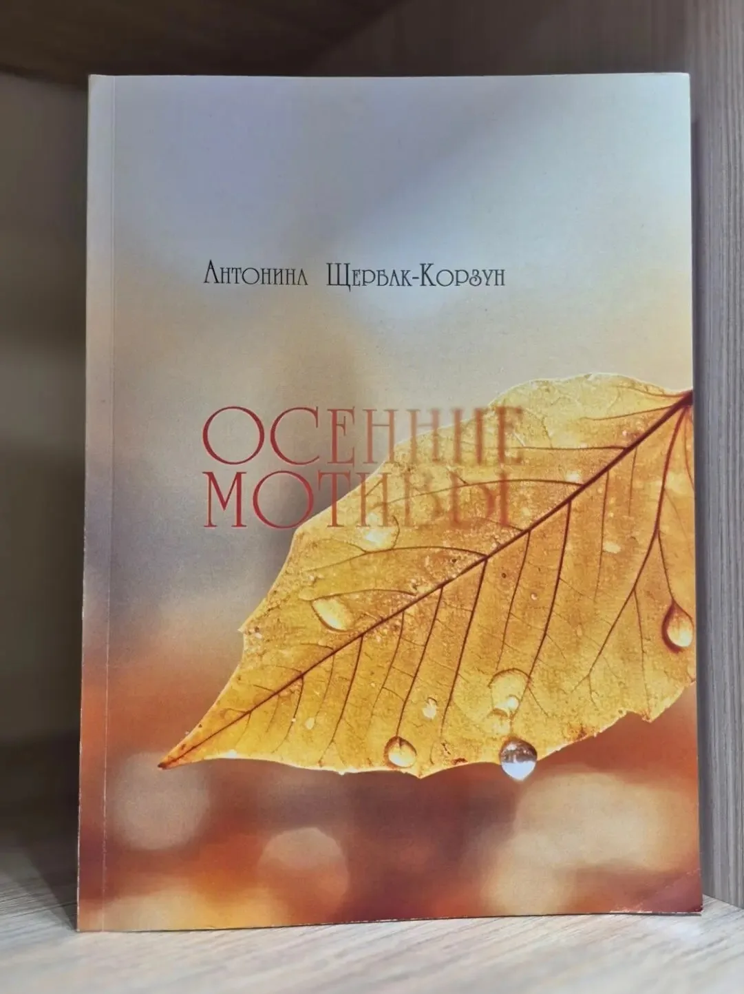 Новинка абонемента.