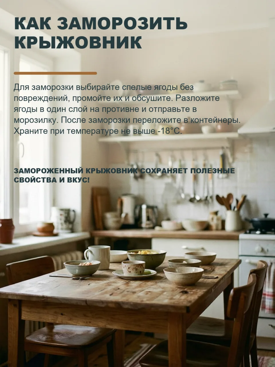 КАК ПРАВИЛЬНО ЗАМОРОЗИТЬ КРЫЖОВНИК НА ЗИМУ?