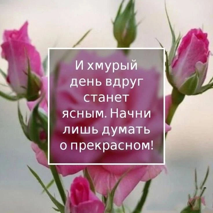Подписаться на Привет Пипл!