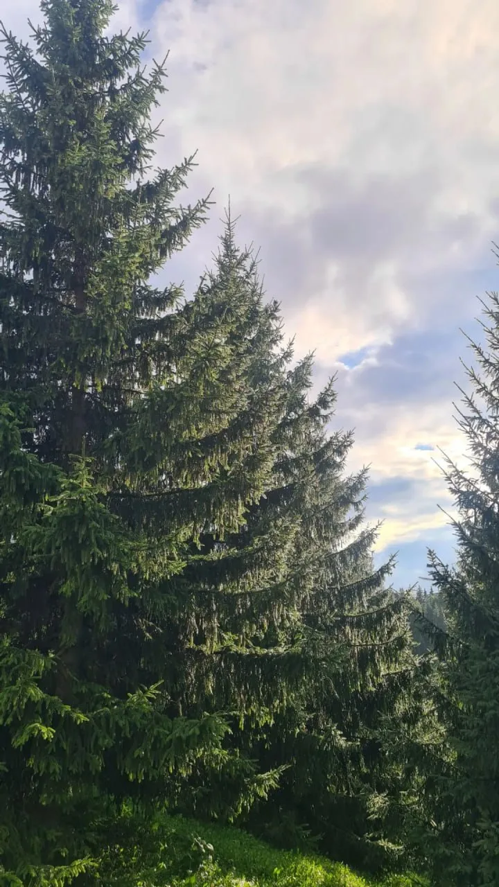 🍂 Доброе утро, друзья!