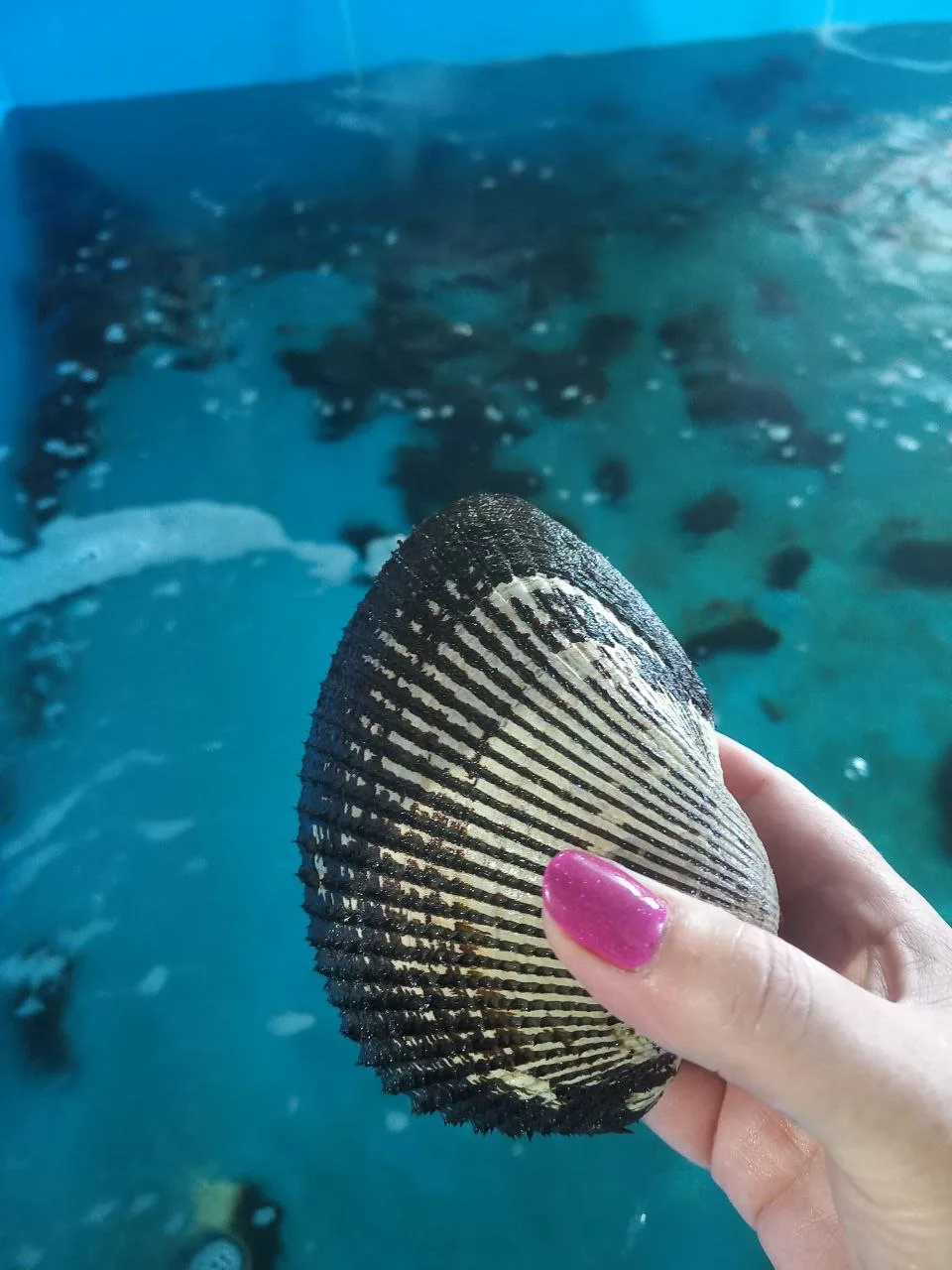 Немного закулисья с нашей экскурсии на мореферму во Владивостоке 🦀 смотрим, слушаем, д...