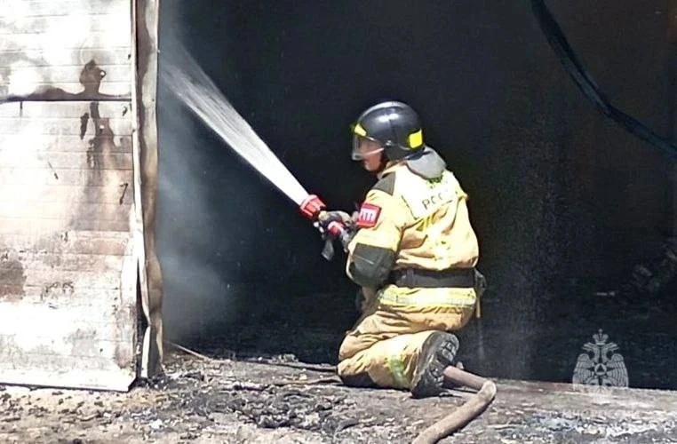 В Саратовской области за прошедшие сутки

произошло 29 пожаров, из них 22 раза горел мусор и сухая р