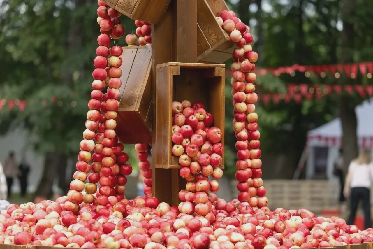 🍎 Под Изборском пройдёт первый праздник нового урожая