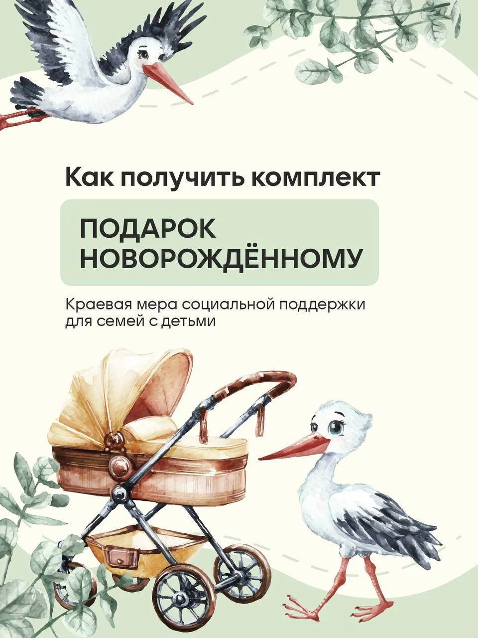 🍼 Комплект «Подарок новорождённому»: что входит и как получить

При рождении ребенка ваша семья име