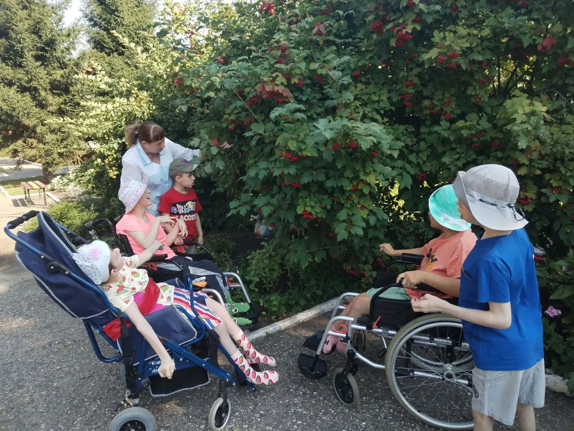 🌤Ребята Центра «Росток»   наблюдают  за изменениями в природе на примере  калины.