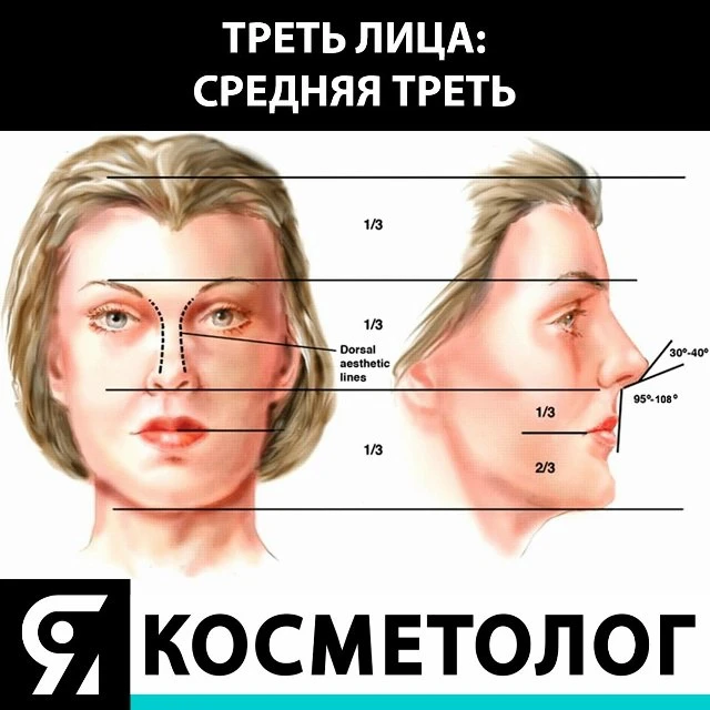 💆Коррекция возрастных изменений лица делится по зонам: на верхнюю, нижнюю и среднюю тр...
