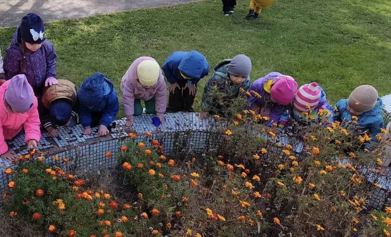 Краски осени в нашей группе! 🌸