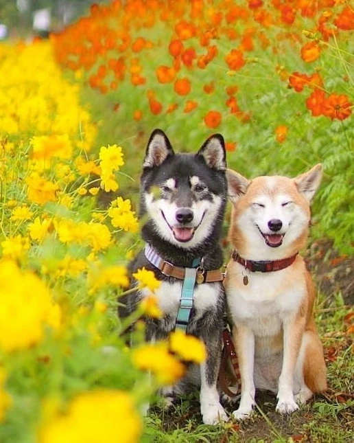 Доброго пятничного утра!❤ С нетерпением ждем выходных!👍😁