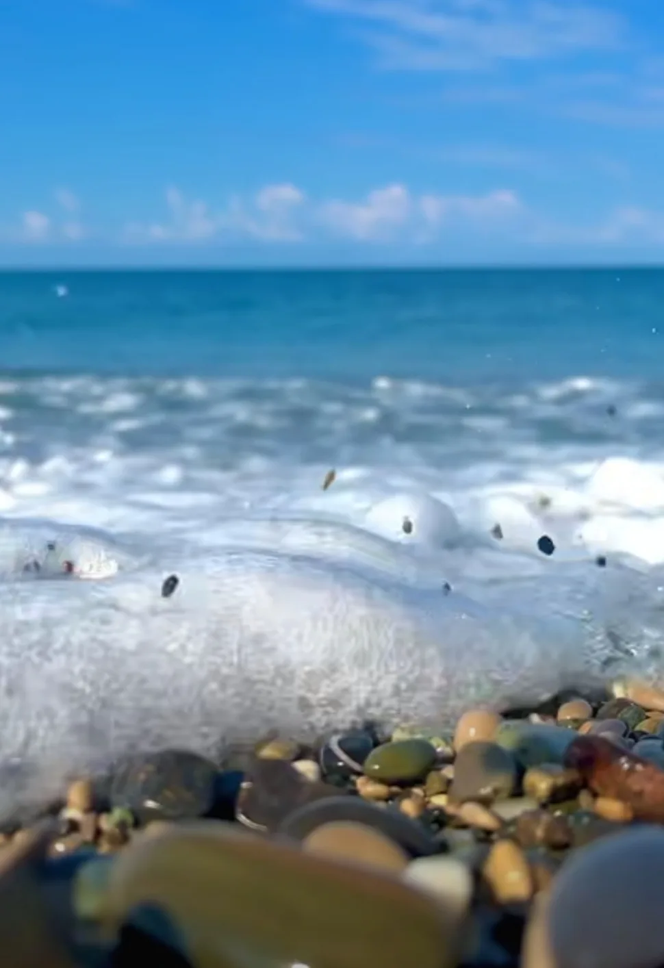 Жара, хочется купаться, а Красноярское море ещё не прогрелось 🌊🥺

🔥Летим в Абхазию🔥 19 июня!

На