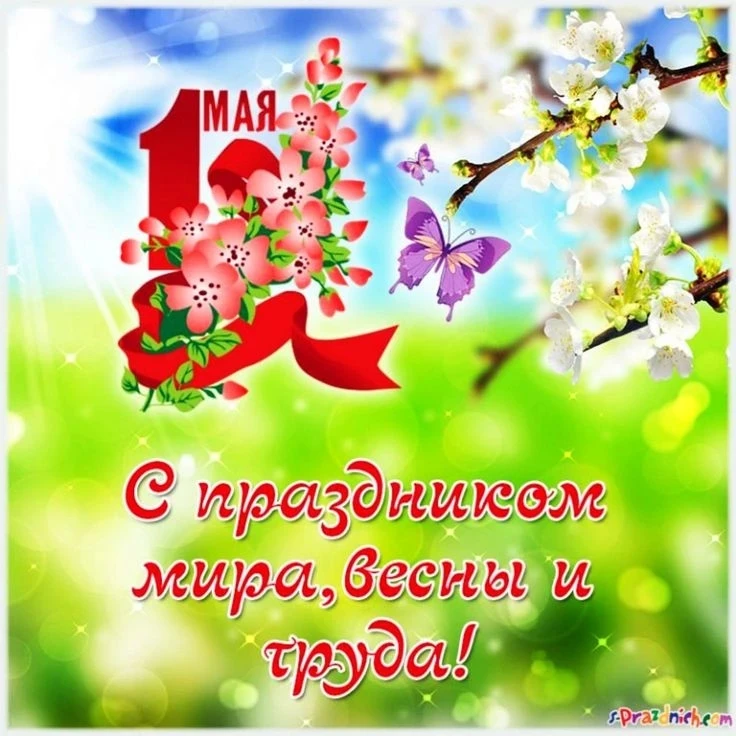 Дорогие ребята