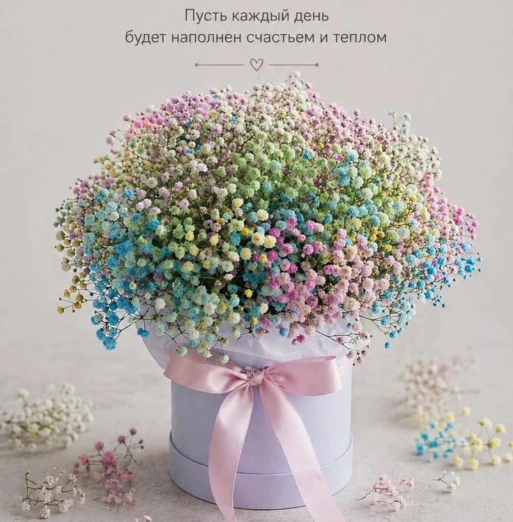 👉 Наши каналы. Подписаться.