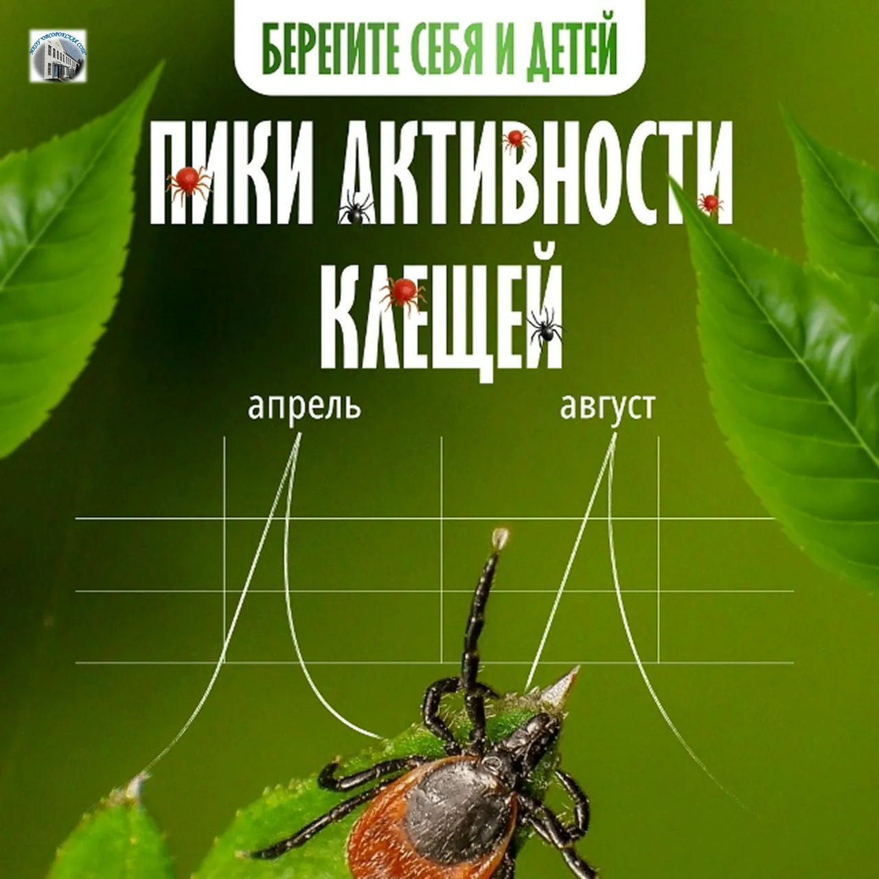 Минутка безопасности