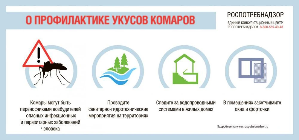 20 августа отмечается Всемирный день комара. Эта дата напоминает о необходимости профил...