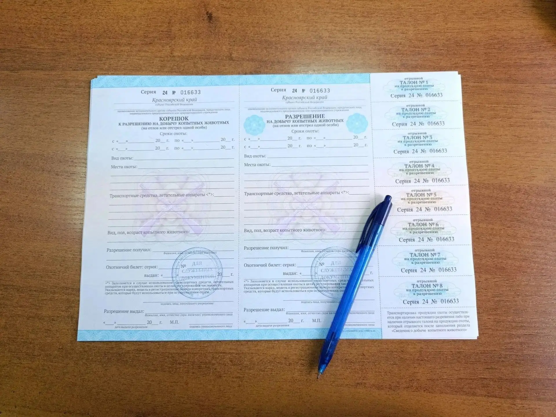 В Красноярском крае завершилась жеребьевка по распределению разрешений на добычу копытных животных н