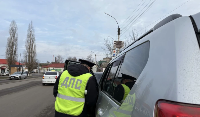 По вине нетрезвых водителей в Мичуринске с начала года произошло 8 ДТП  В преддверии праздников Госа
