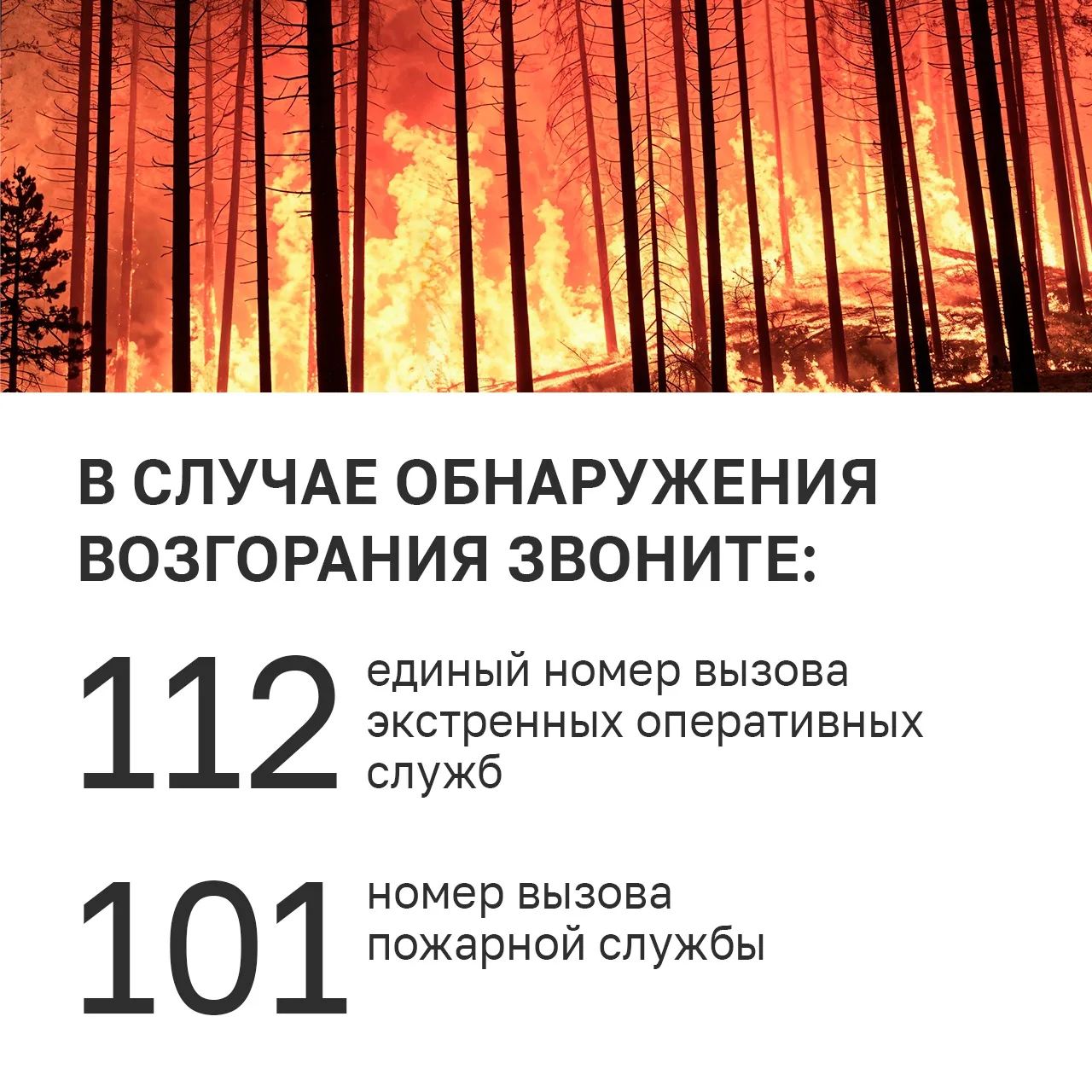 🔥В Удмуртии ввели особый противопожарный режим!  Теперь на всей территории республики действуют допо