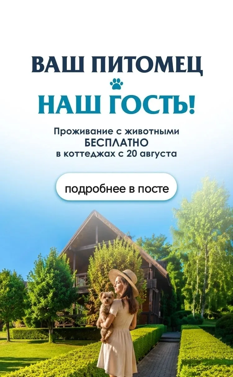 Найти няню проще, чем надежную передержку для собаки на две недели. Знакомо?