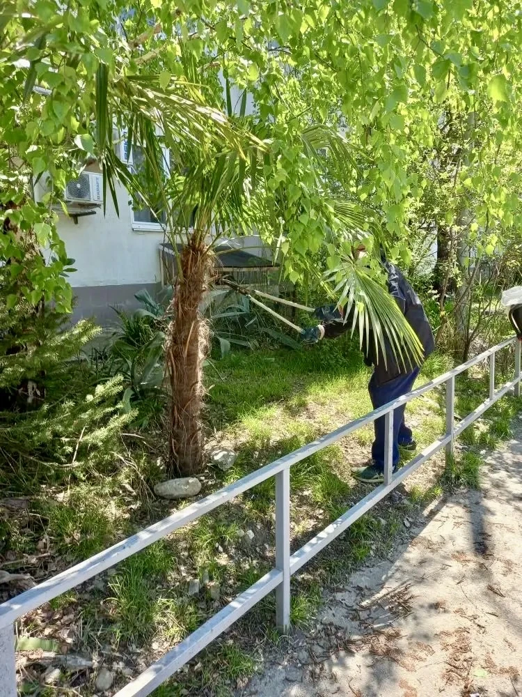 🌿✨ Работы по благоустройству территорий продолжаются! На обслуживаемых территориях активно ведутся м
