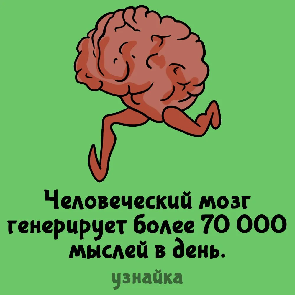 Ваши мозговые процессы постоянно активны, а орган продолжает работать, даже когда вы сп...