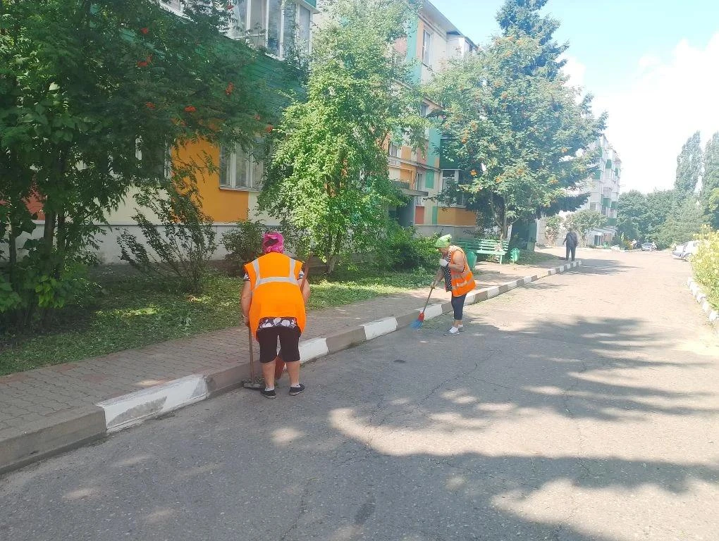 🧹Наводим порядок на территории после покоса травы🌱
