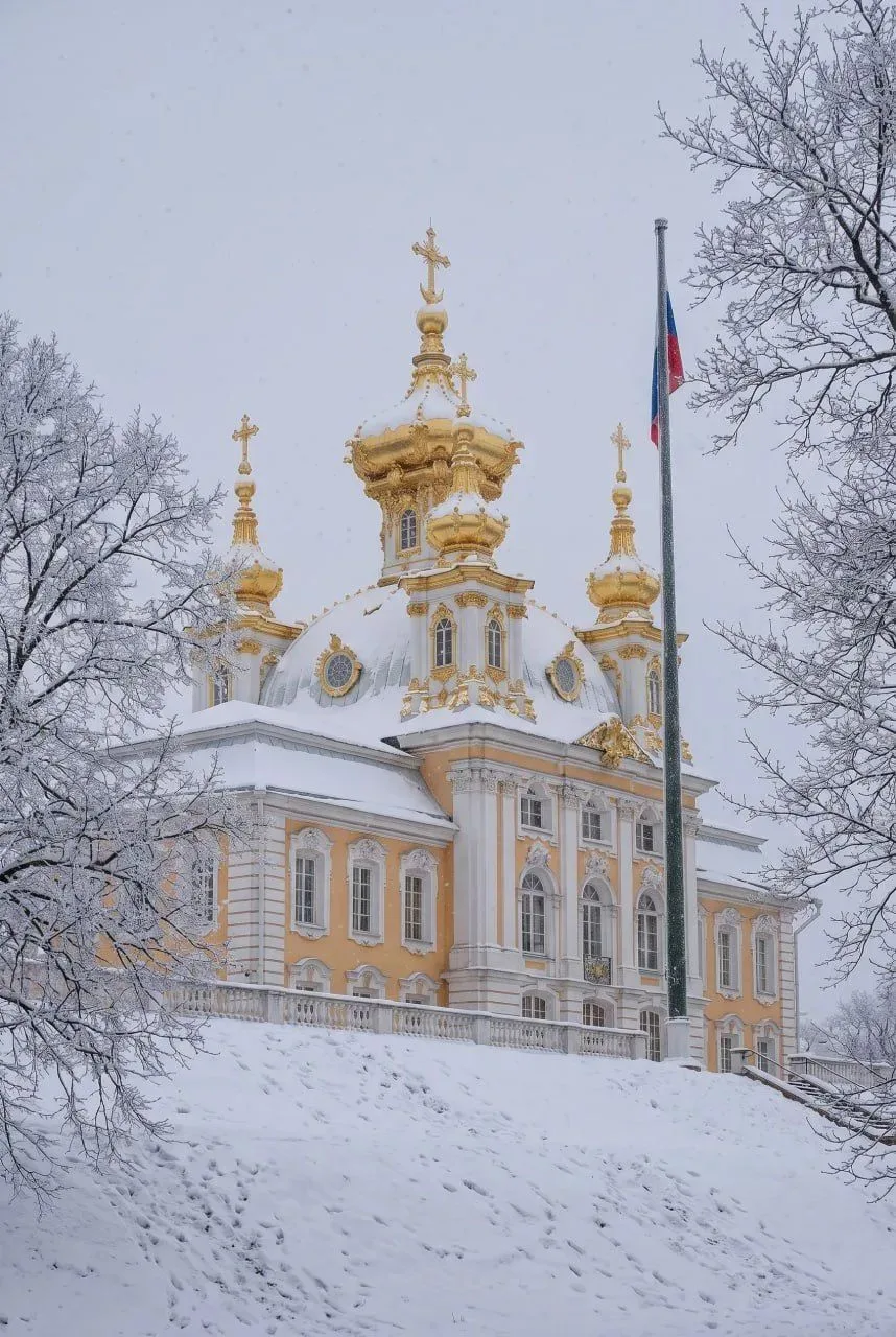 🆕🆕Сокровища Петербурга: за закрытыми дверями