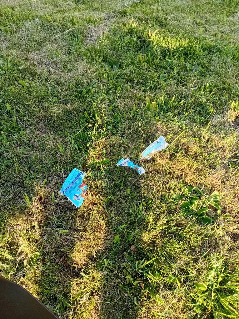 Учим детей беречь природу???!!!