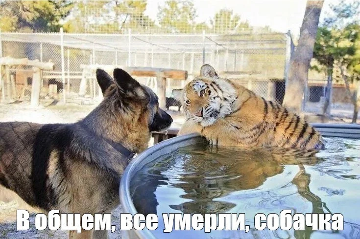 Все умерли: лидер курганской КПРФ объяснил провал на выборах в Госдуму.
