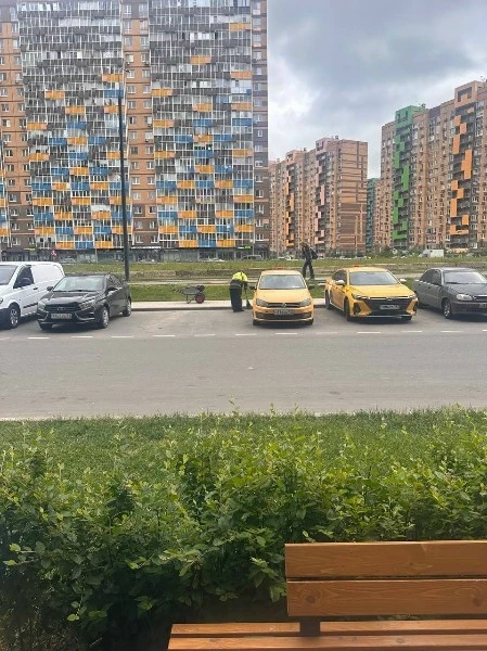 Каждый день с раннего утра мусор убирают 🙏

НЕ ЗАБУДЬ ПОДПИСАТЬСЯ ⤵️