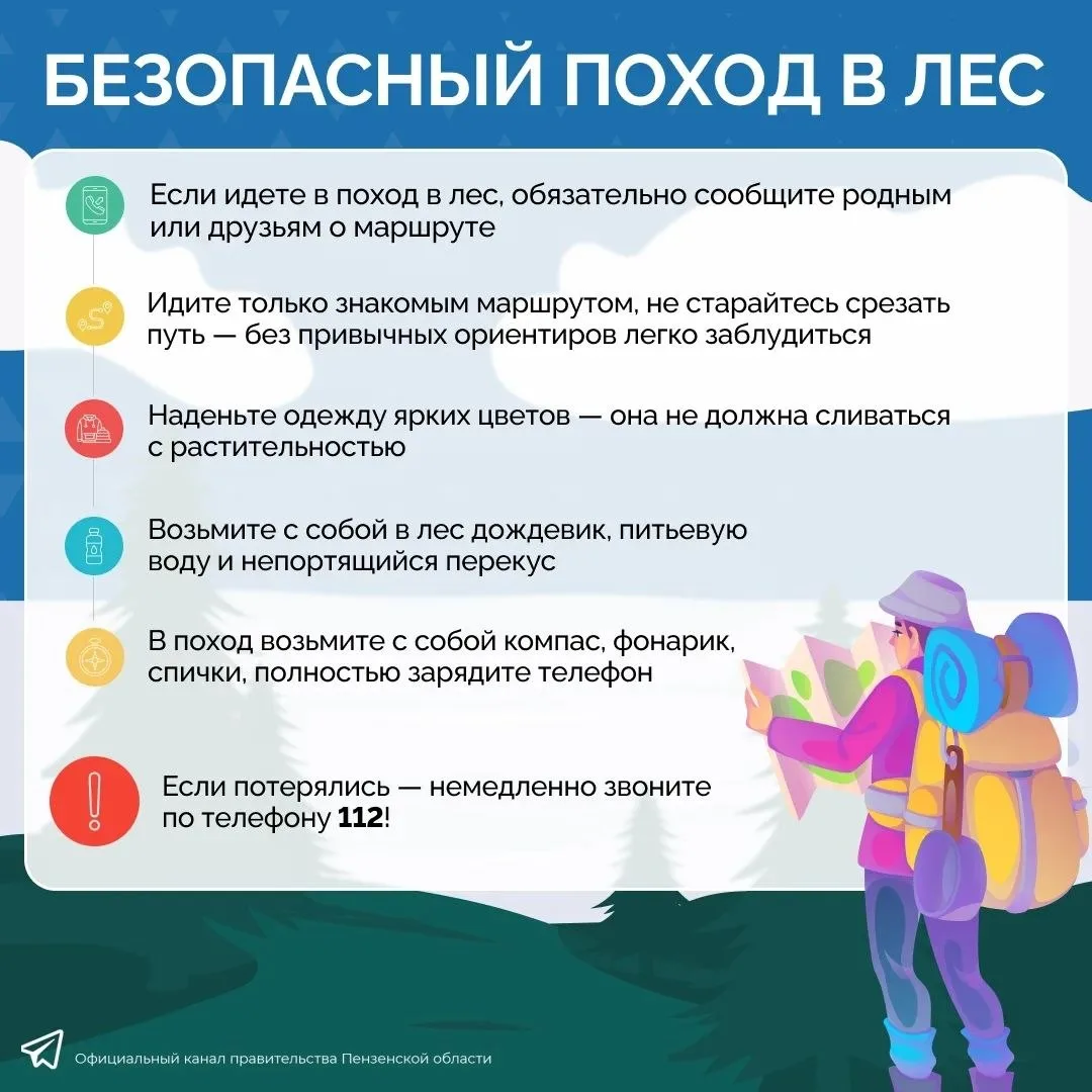 Пришла пора походов, тихой охоты и лесных ванн 🏞