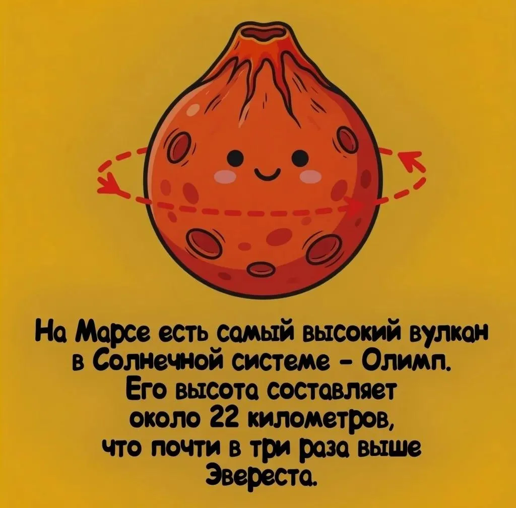 Ставь ❤️, если не знал этого факта, и подписывайся — впереди ещё много открытий!