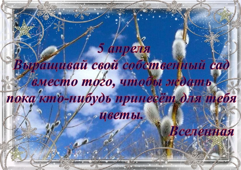 День движения, знаний, интеллекта