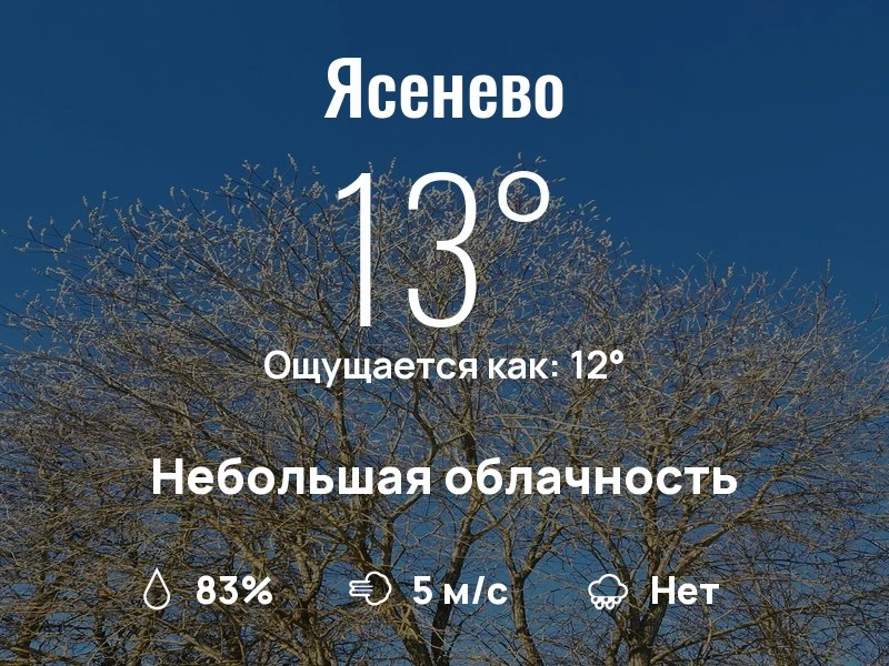 Что с погодой в Ясенево?