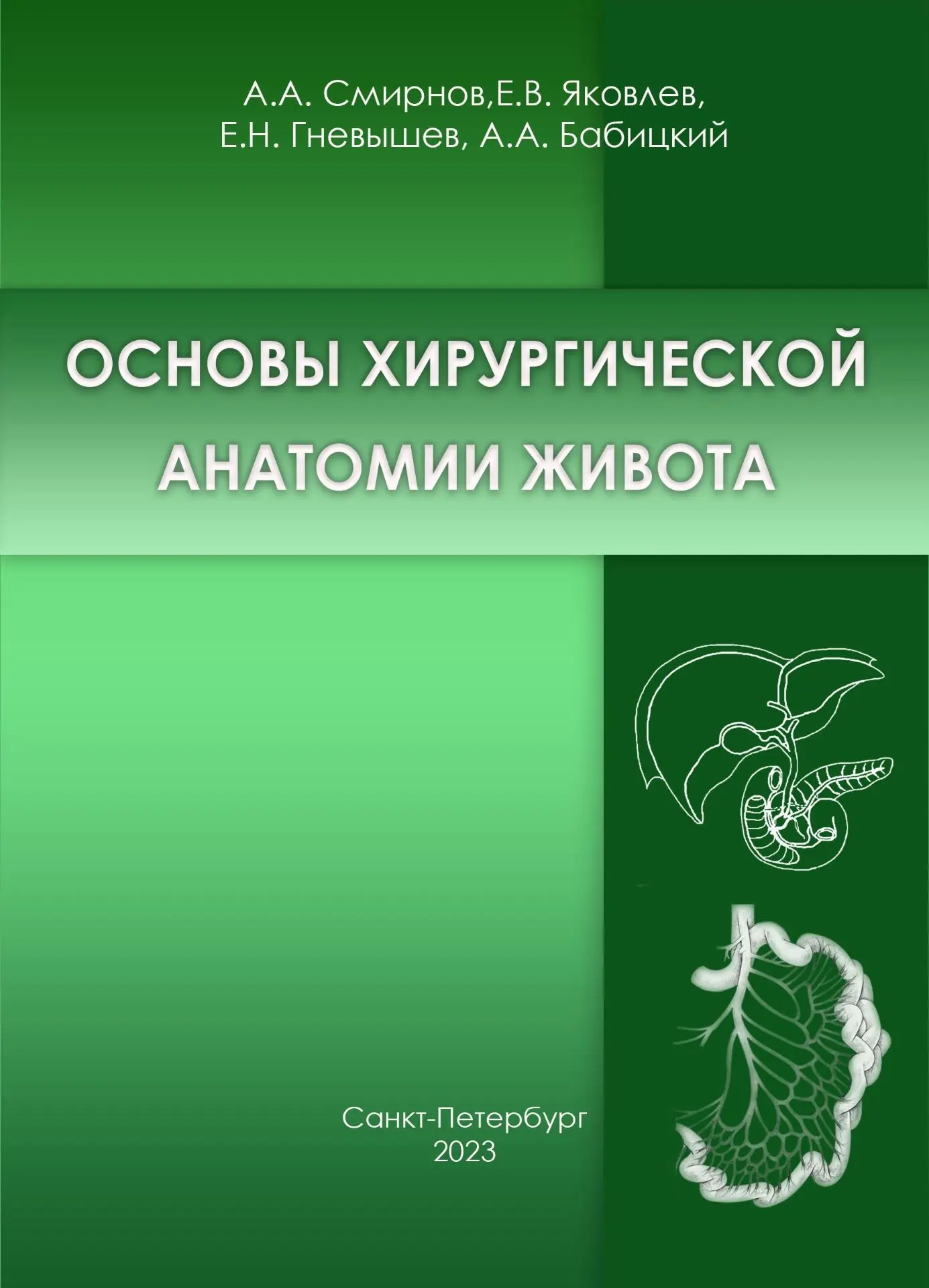 📚 Основы хирургической анатомии живота