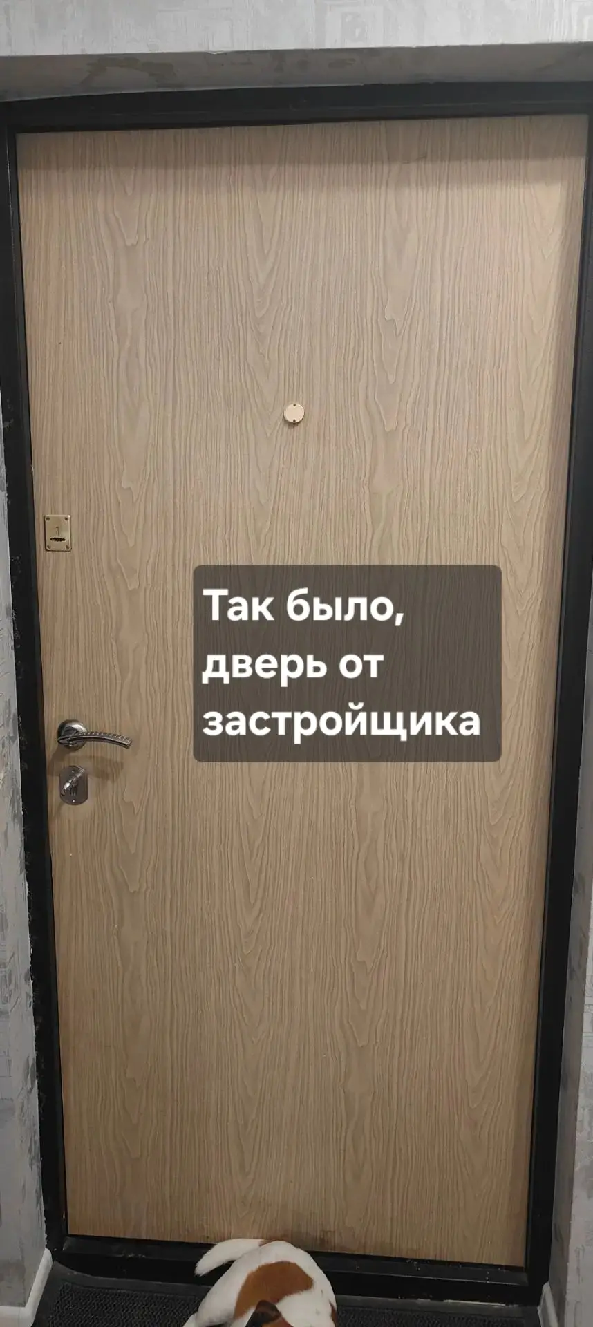 Мастер просто умница, превратил дверь  от застройщика в такую красоту  )))