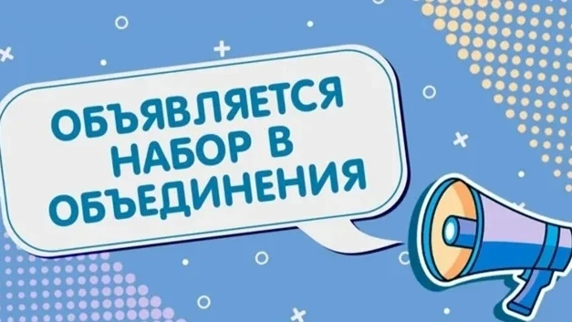 Отделение дополнительного образования детей ГБОУ СОШ №172 Калининского района Санкт-Пет...