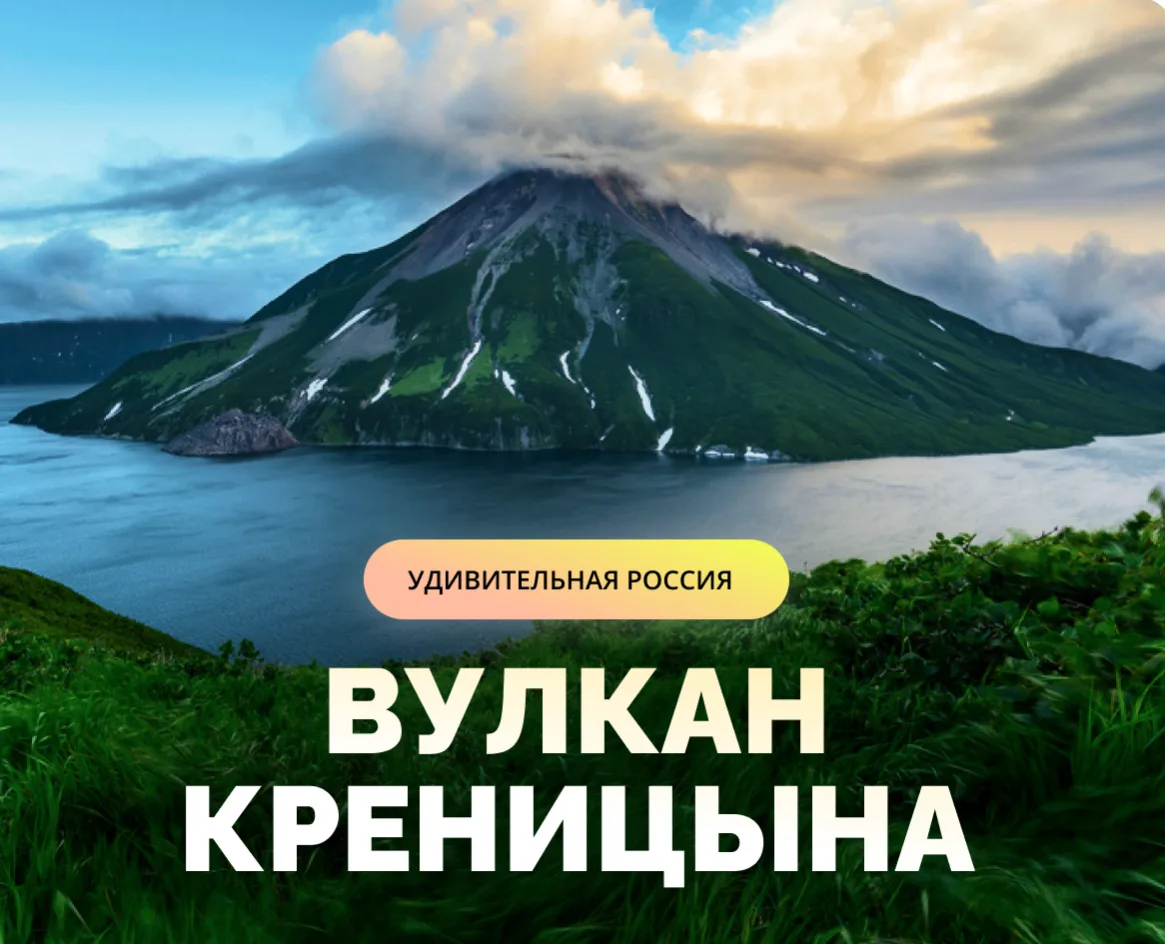 Не смогла пройти мимо и не рассказать вам про такое чудо...
