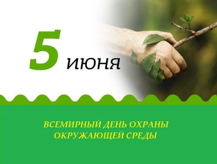 5 июня отмечается Всемирный день окружающей среды. Этот международный праздник был учре...