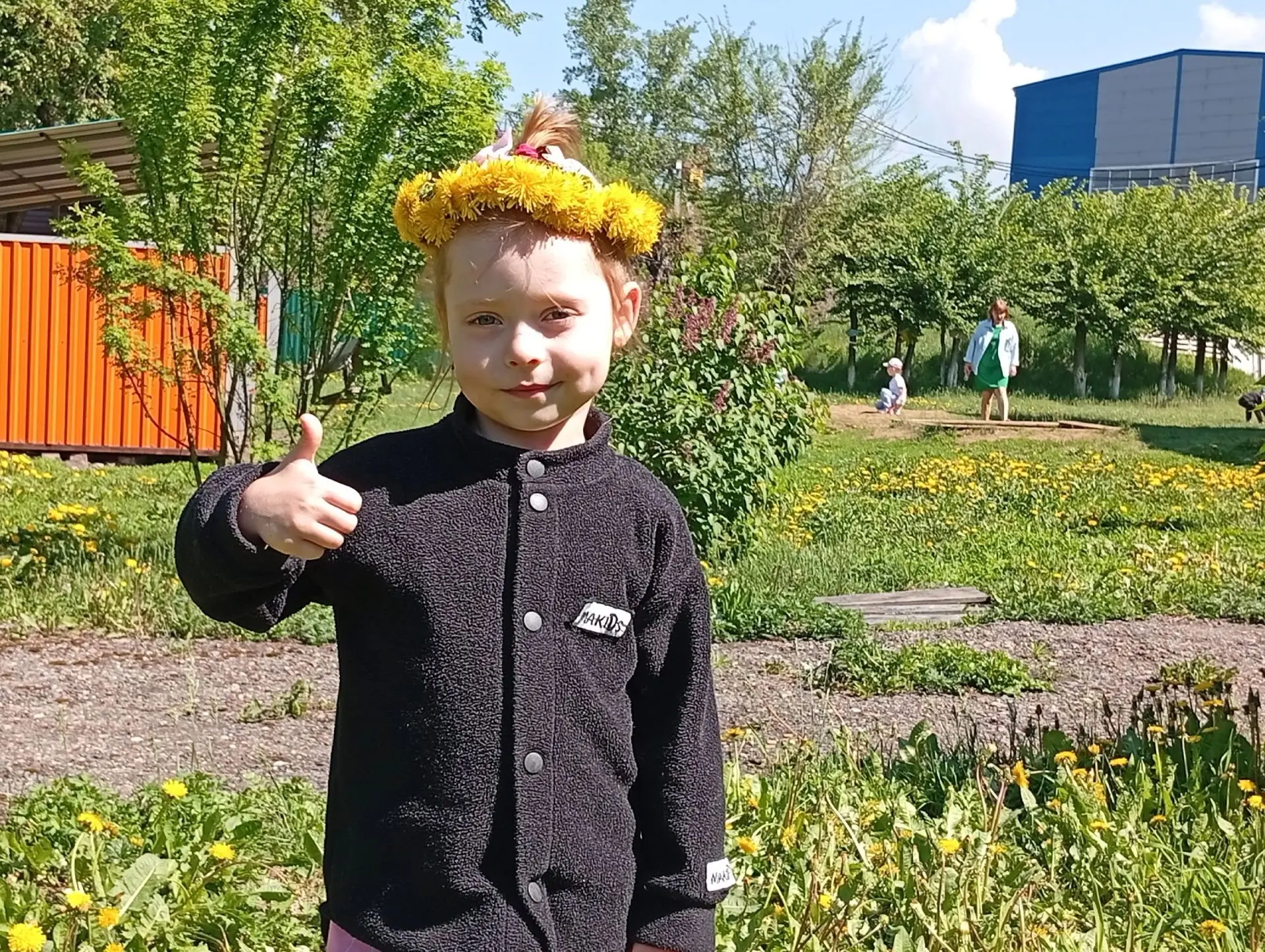 Одуванчики цветы 
Ослепительно желты! 
И горит лужайка наша 
Словно сказочная чаша, 
Где на круглом 