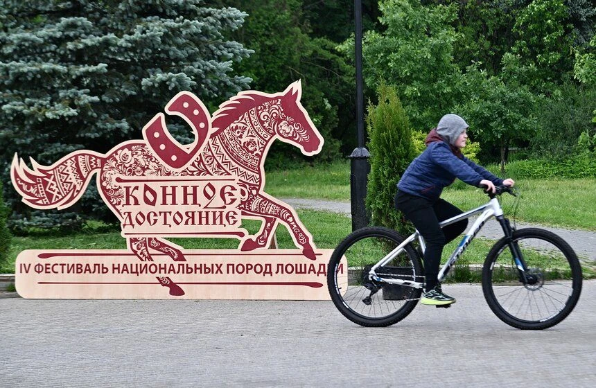 Фестиваль "Конное достояние" в парке "Митино" 🐎✨