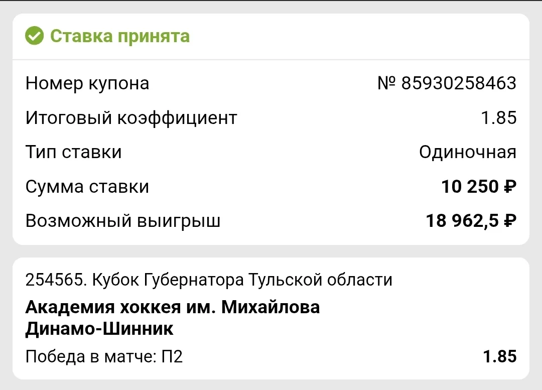Хоккей 🏒